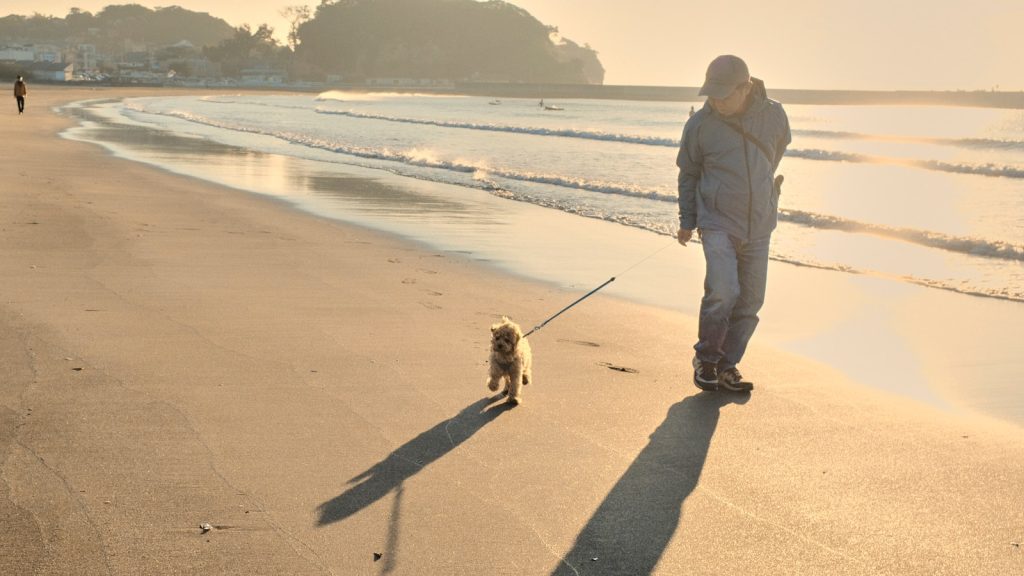 a man walking a dog on a beach