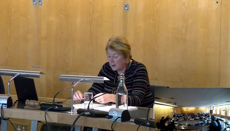 Cllr Linda Taylor leading the Cabinet meeting