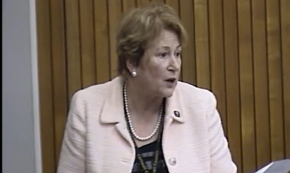 Cllr Linda Taylor