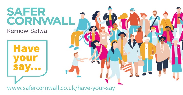 Have Your Say survey