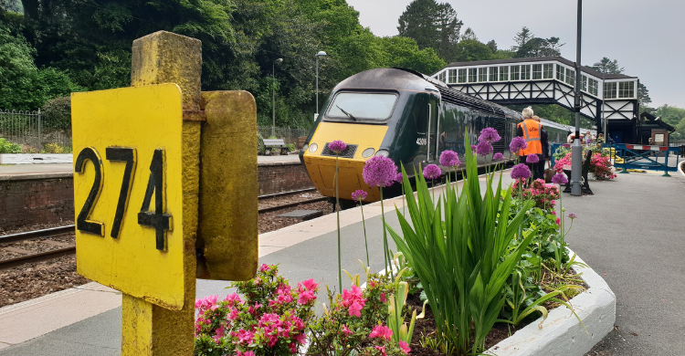 Image shows a train at a railway station