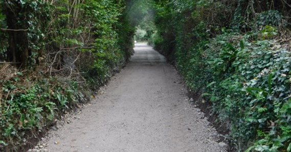 Saints Trail image