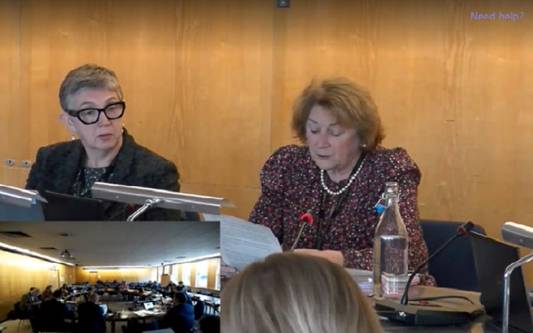Cllr Taylor at Cabinet