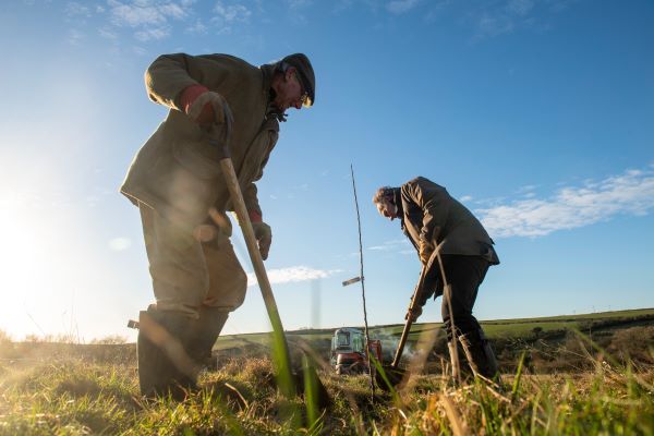 Farmers planting trees