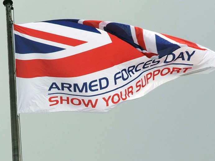 The Armed Forces Day flag