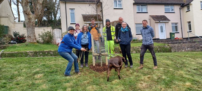 Tree-planting in Penzance with Forest for Cornwall