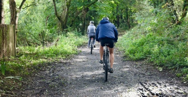 Two cyclists ride on a trail through woodland
