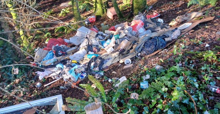 Rubbish dumped in woods