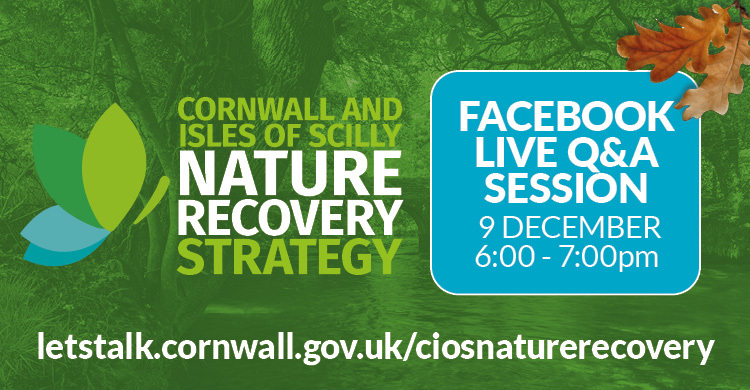Graphic on online question and answer session on Nature Recovery Strategy: December 9, 6pm