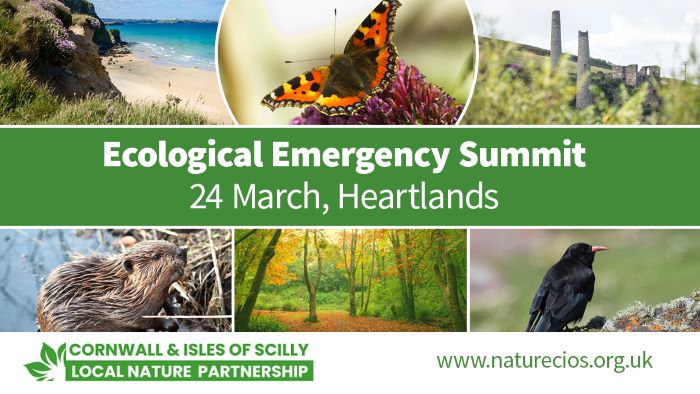 Ecological Emergency Summit graphic