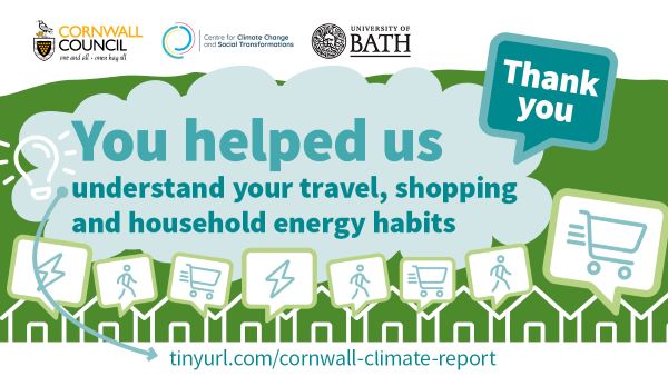 Survey graphic on travel, shopping and energy habits