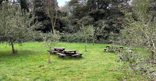 Residents will also have access to the orchard