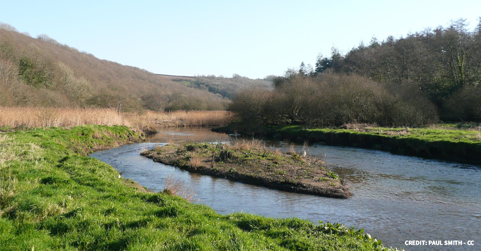 The River Camel