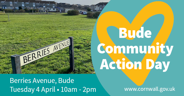 Berries Avenue, Bude Community Action Day
